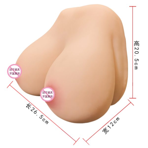 Anatomical Male Torso Forms | High-Fidelity Silicone Sculptures -Papaya milk - Image 2